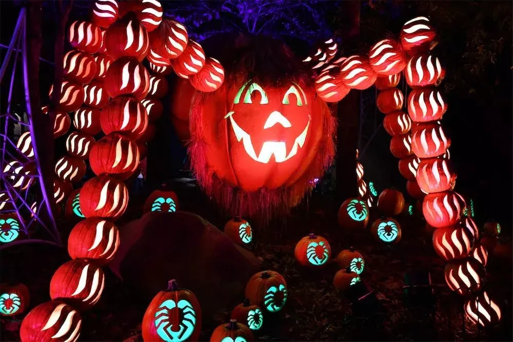 great pumpkin luminights dollywood