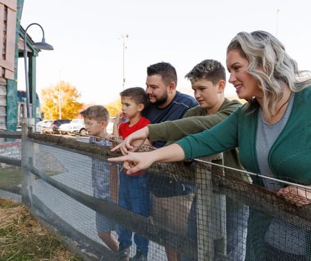 Why Our Dinner Show is a Must-See Attraction in Pigeon Forge for Families