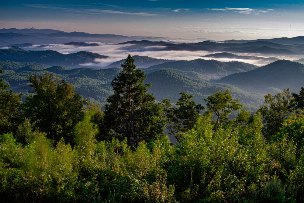 dusk in the Smoky Mountains