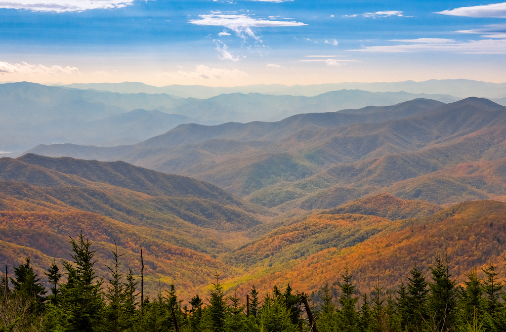 Smoky Mountain fall foliage