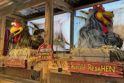 animatronic chickens at Frizzle Chicken Cafe