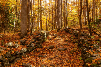 fall hiking trail