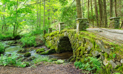 Elkmont Troll Bridge