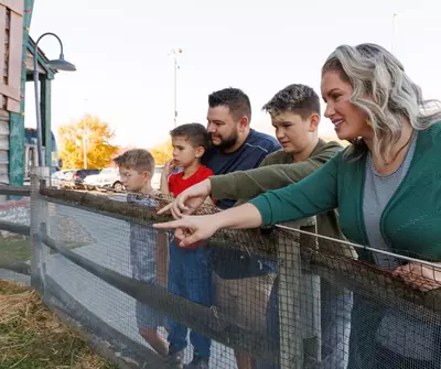 barnyard animals pigeon forge