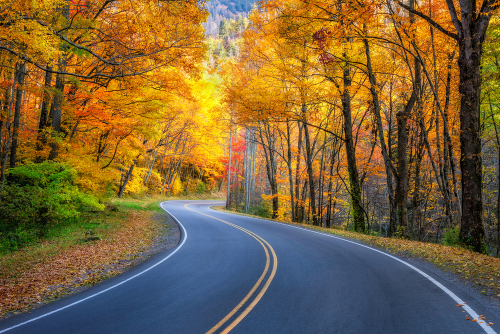 autumn colors great smoky mountains
